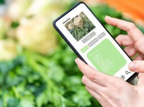 專業(yè)防偽標(biāo)簽印刷廠家：為您提供一站式防偽解決方案！